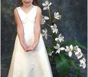 Gallery Photo 26