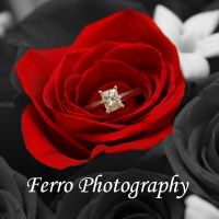 Photo - Michelle Ferro