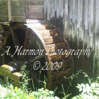Photo - A Harmon Photography