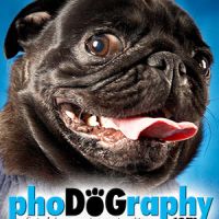 Photo - phoDOGraphy.com