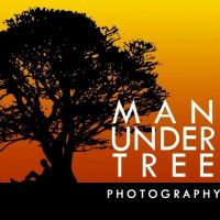 Photo - Man Under Tree Photography