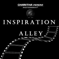 Photo - Charitha Perera