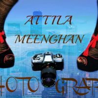 Photo - Attila Meenghan Photography