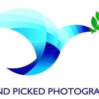 Photo - Handpicked photography