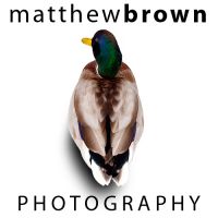 Photo - Matthew Brown Photography