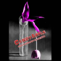 Photo - CandyApple Photography & Events