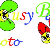 Photo - Busy Beez Photo