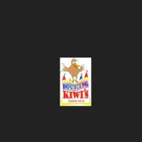 Photo - Bouncing Kiwis Castle Hire
